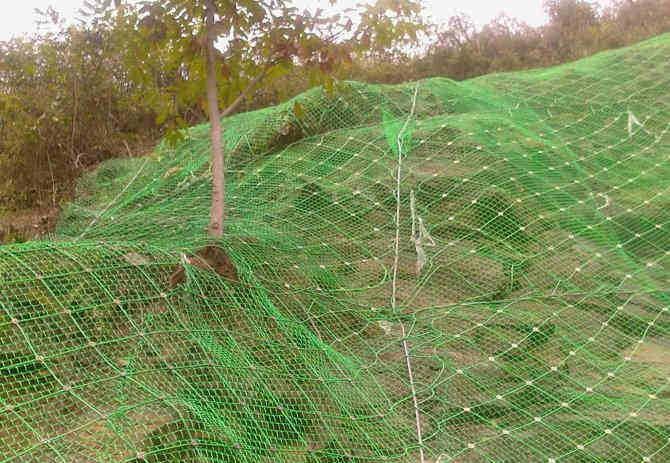 邊坡防護(hù)網(wǎng)-主動